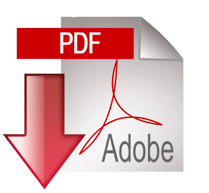 Ισολογισμός σε PDF